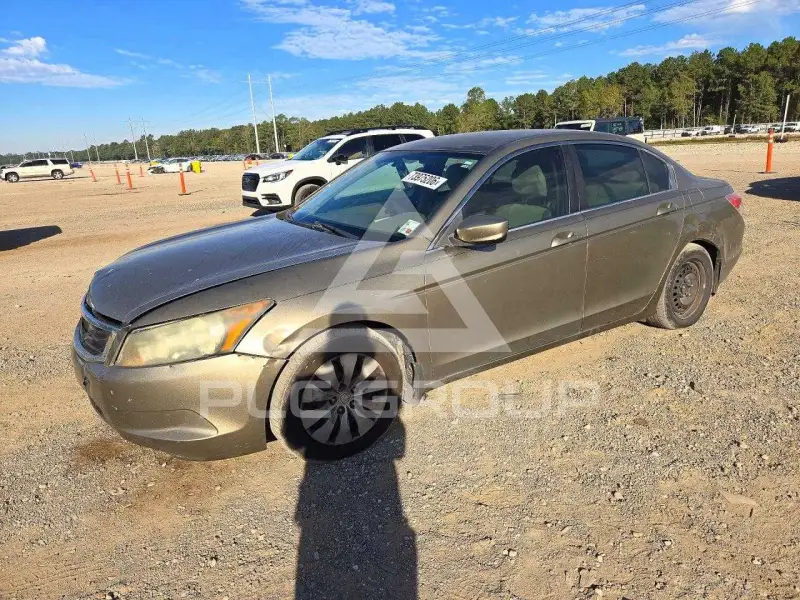 2010 Honda Accord фото
