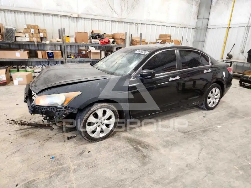 2010 Honda Accord photo
