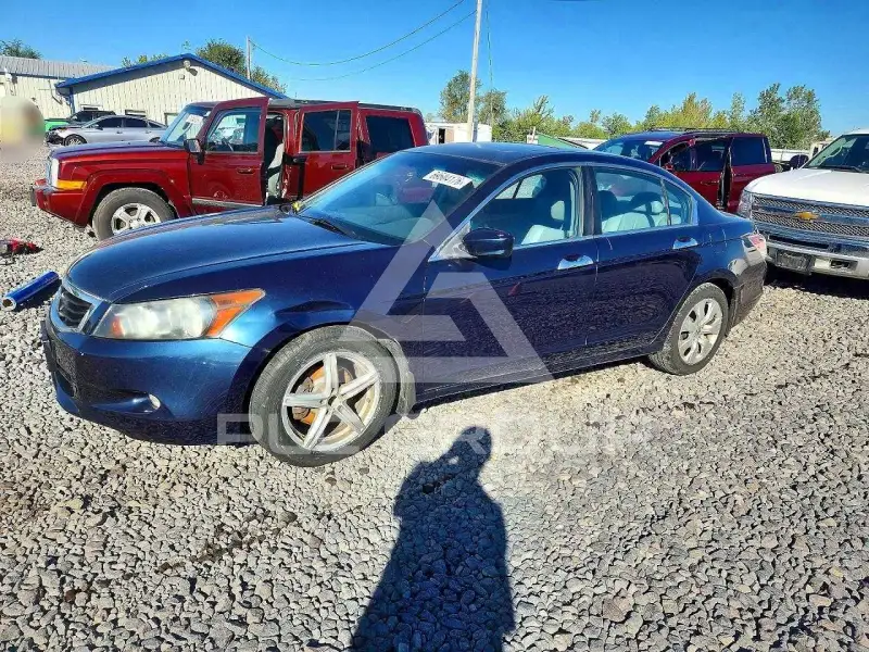 2010 Honda Accord фото