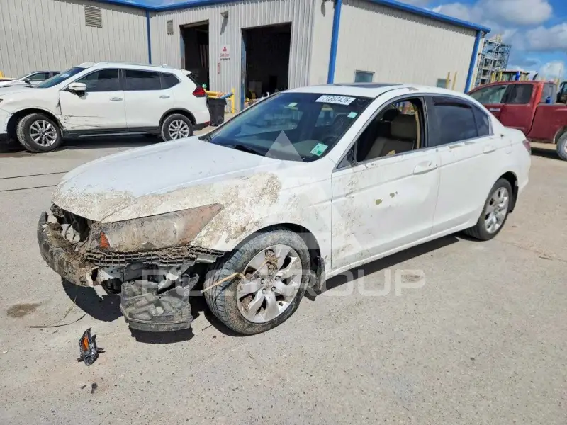 2010 Honda Accord фото