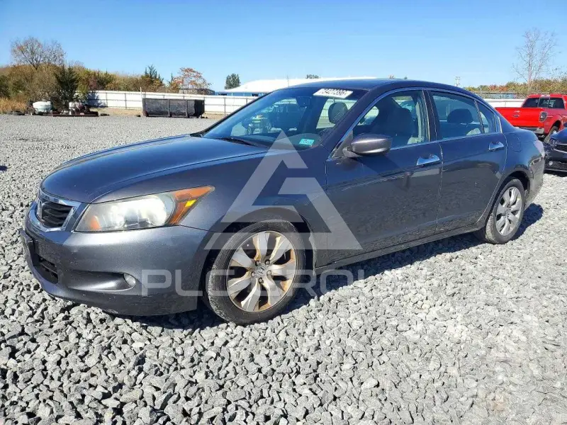 2010 Honda Accord фото