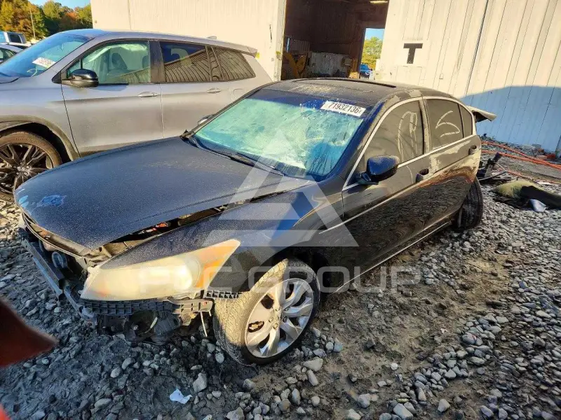 2010 Honda Accord фото