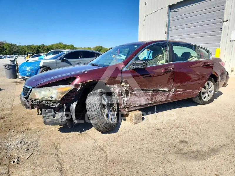 2010 Honda Accord фото