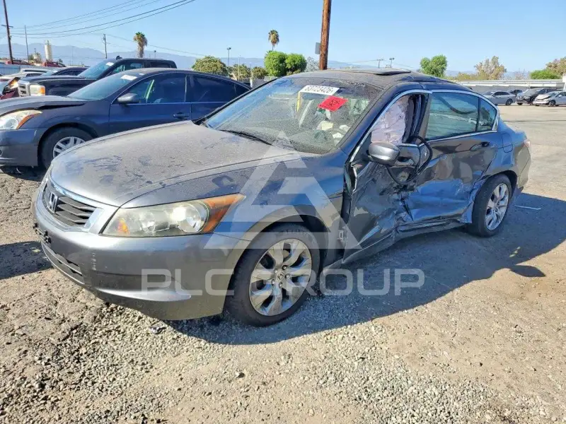 2010 Honda Accord фото