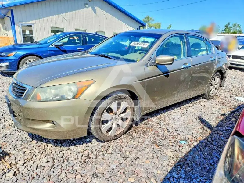 2010 Honda Accord photo