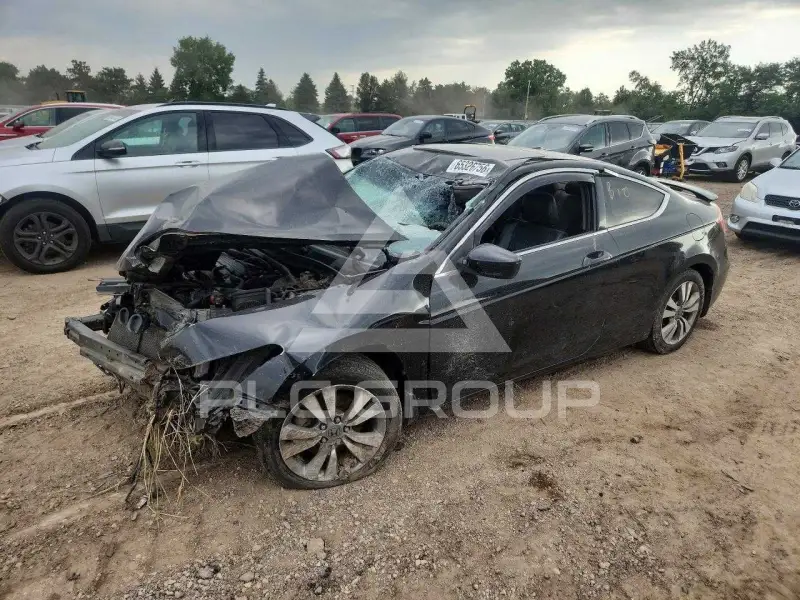 2010 Honda Accord фото