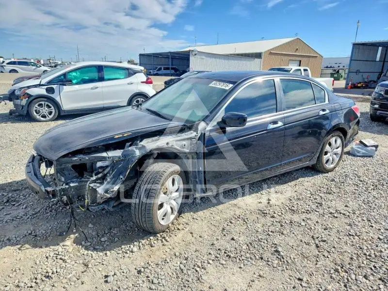 2010 Honda Accord photo