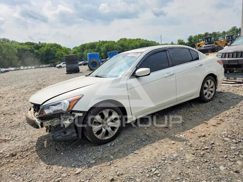 2010 Honda Accord photo