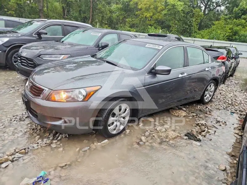 2010 Honda Accord photo
