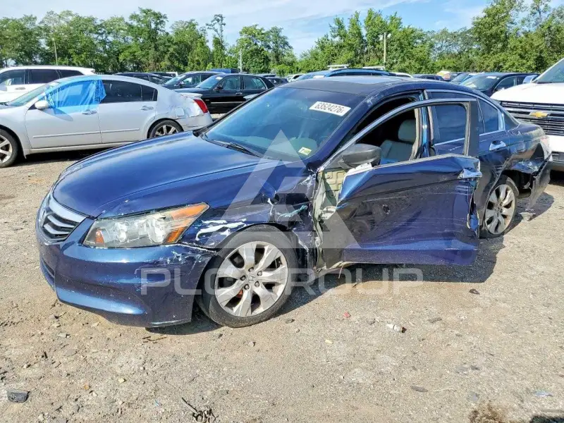 2010 Honda Accord photo
