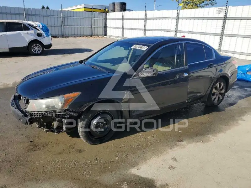 2010 Honda Accord фото