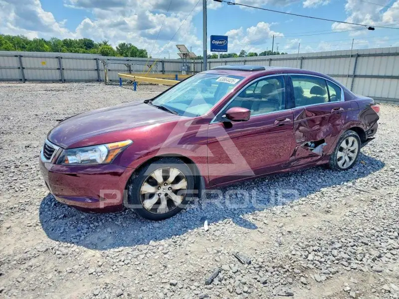 2010 Honda Accord фото