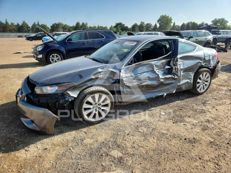 2010 Honda Accord фото