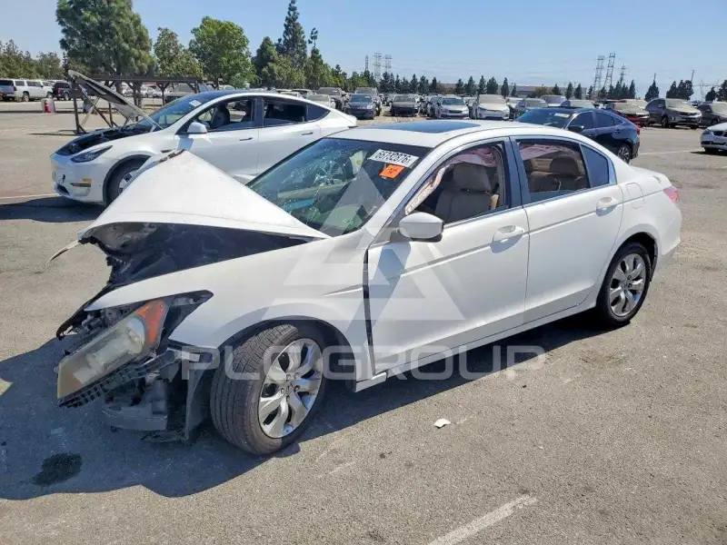 2010 Honda Accord фото