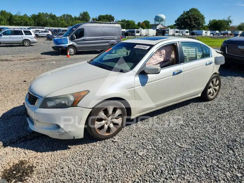 2010 Honda Accord фото