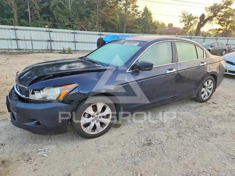 2010 Honda Accord photo