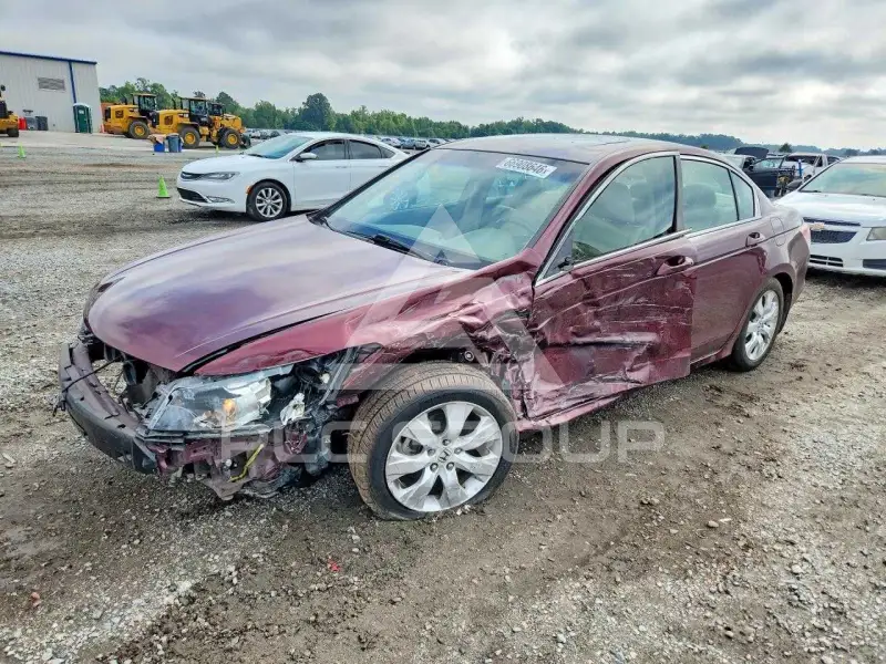 2010 Honda Accord фото