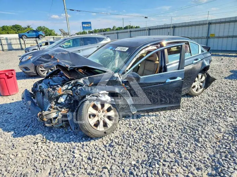 2010 Honda Accord photo