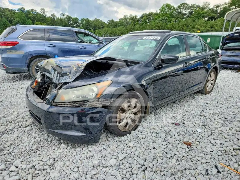 2010 Honda Accord photo