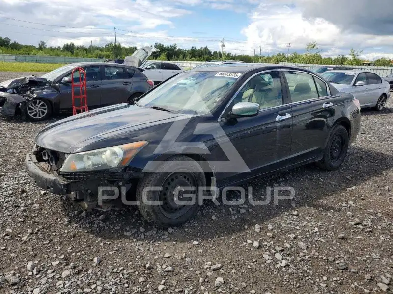 2010 Honda Accord photo