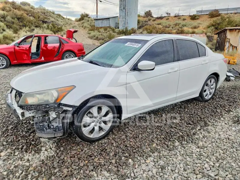 2010 Honda Accord photo