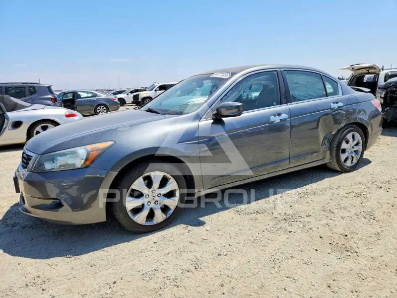 2010 Honda Accord фото