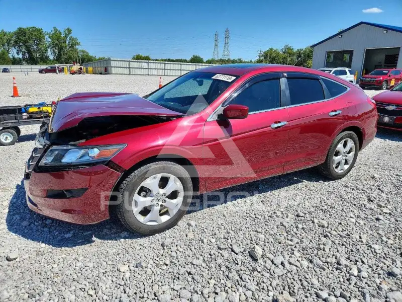 2010 Honda Accord фото