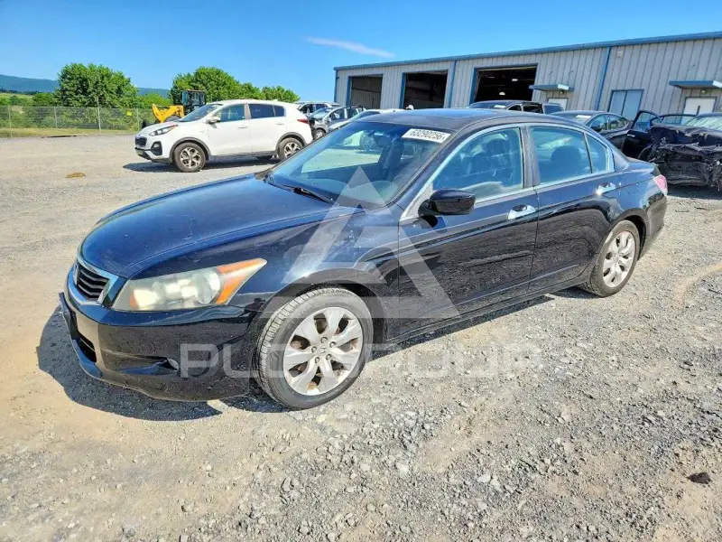 2010 Honda Accord фото