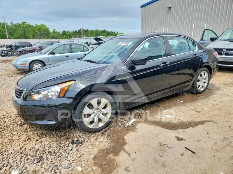 2010 Honda Accord photo