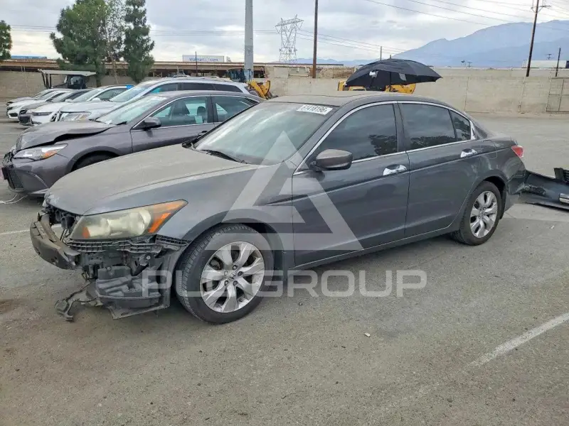 2010 Honda Accord фото
