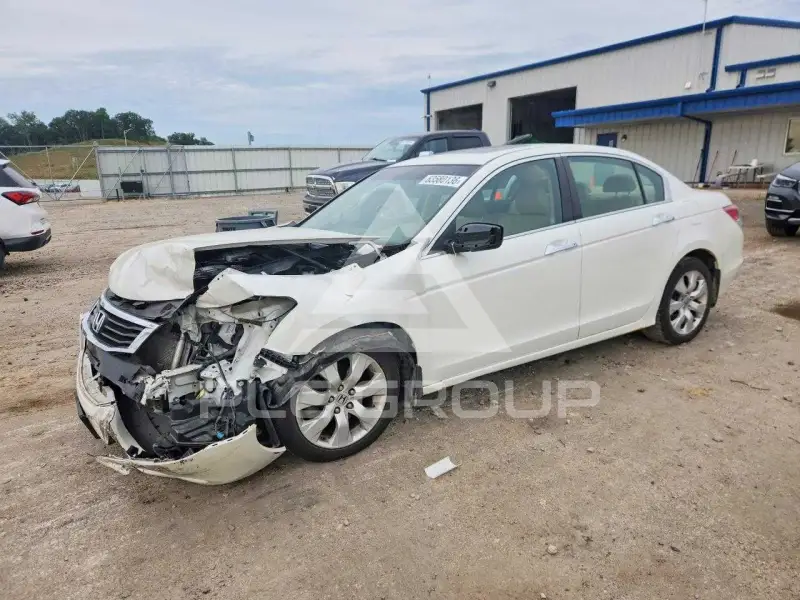 2010 Honda Accord photo