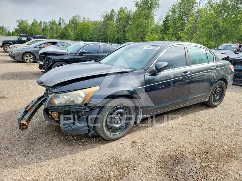 2010 Honda Accord фото