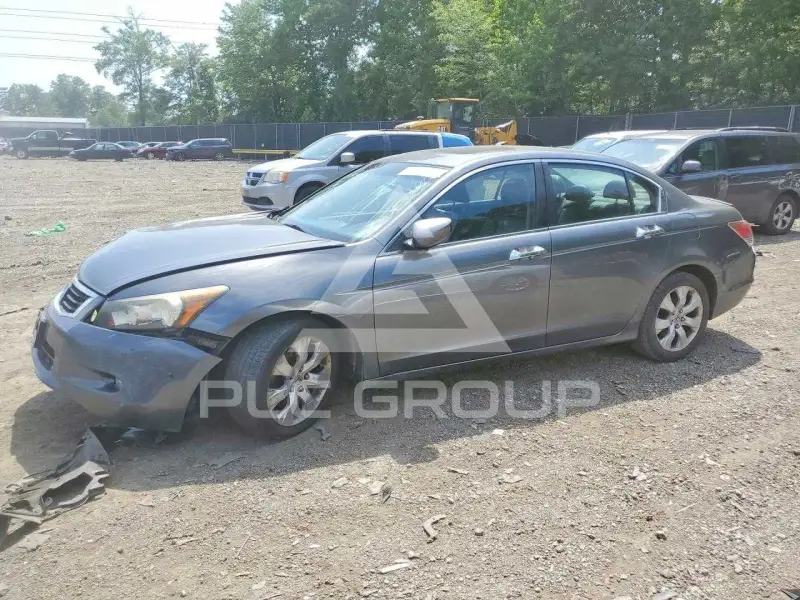2010 Honda Accord photo