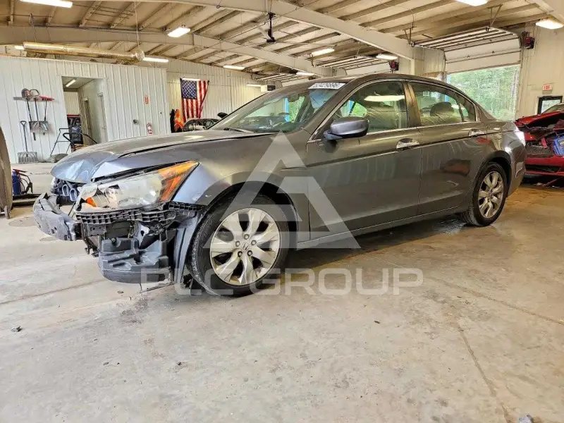 2010 Honda Accord фото