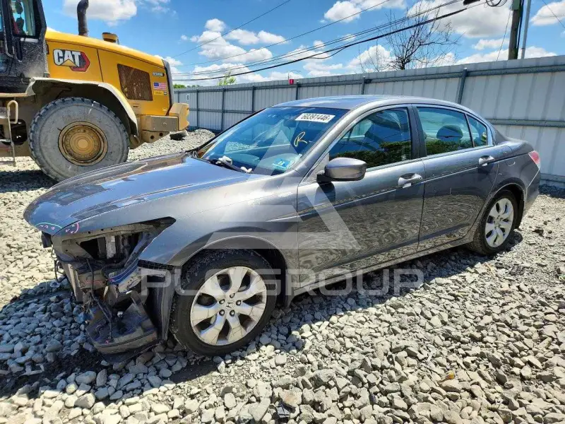 2010 Honda Accord photo