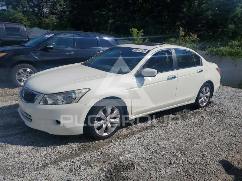 2010 Honda Accord photo
