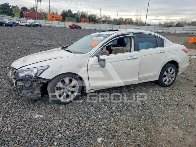 2010 Honda Accord фото
