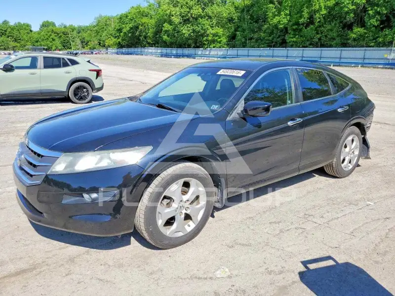 2010 Honda Accord фото