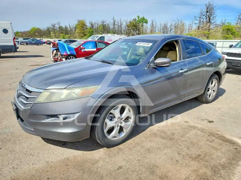 2010 Honda Accord фото
