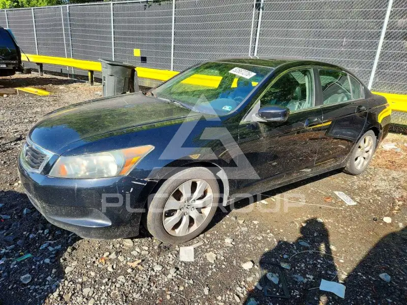 2010 Honda Accord фото
