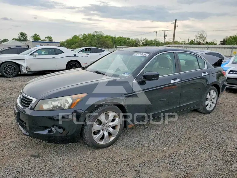 2010 Honda Accord фото