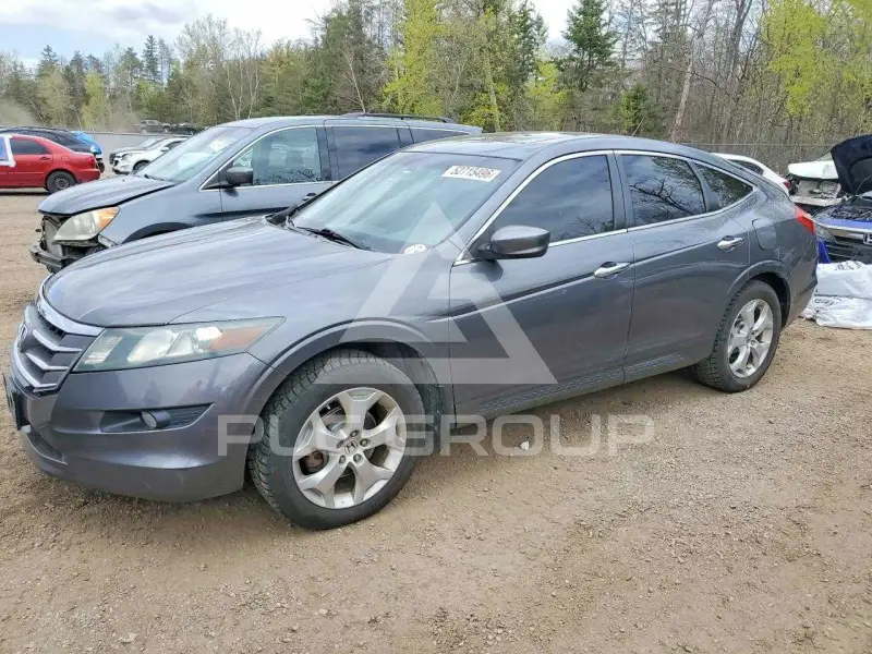 2010 Honda Accord фото
