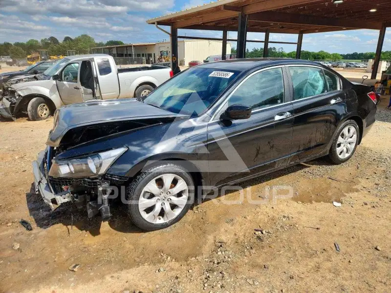 2010 Honda Accord фото