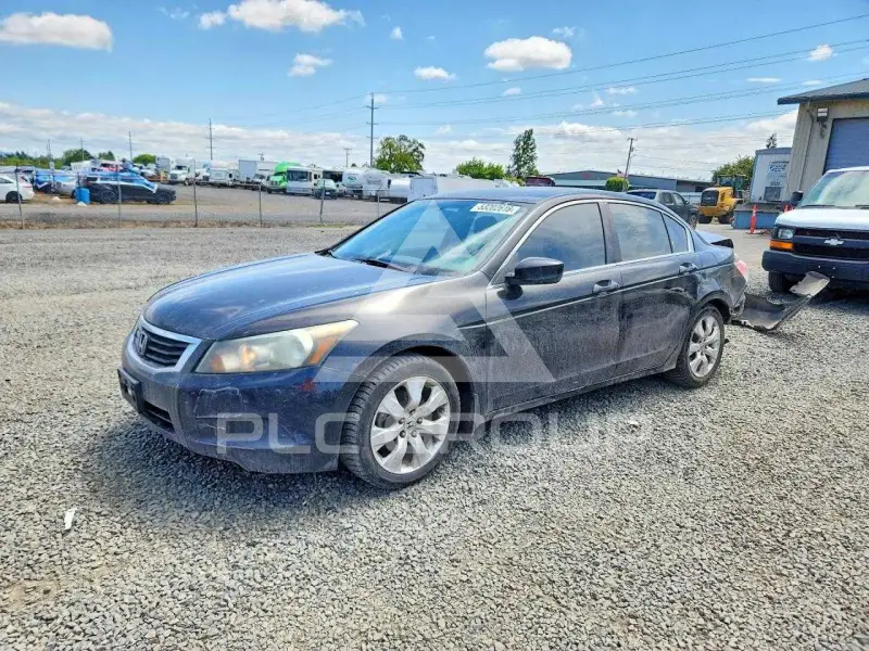 2010 Honda Accord фото