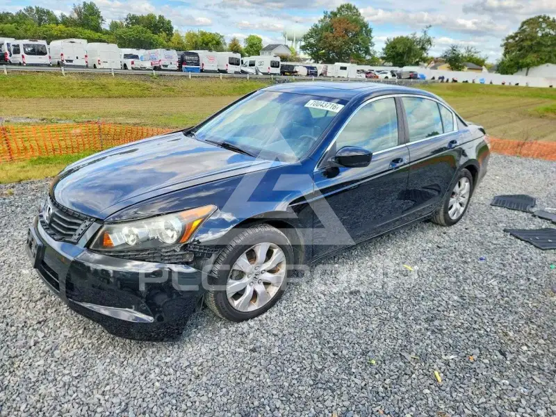 2010 Honda Accord photo