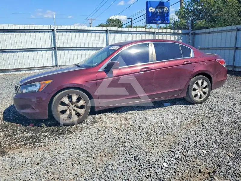 2010 Honda Accord photo