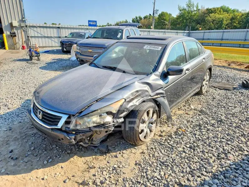 2010 Honda Accord фото
