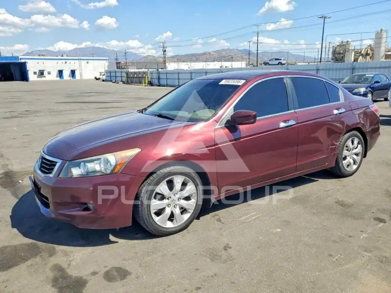 2010 Honda Accord фото