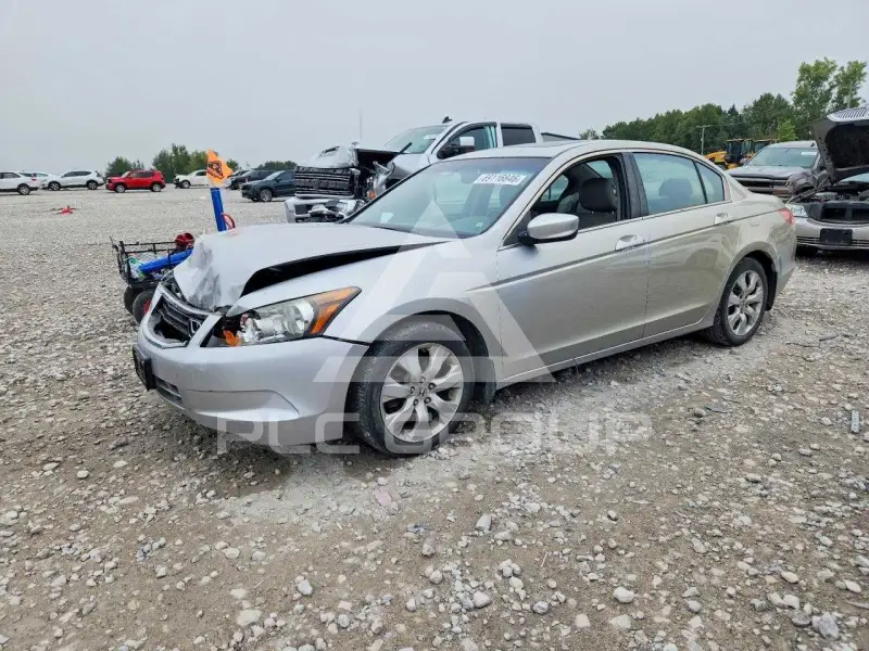 2010 Honda Accord photo