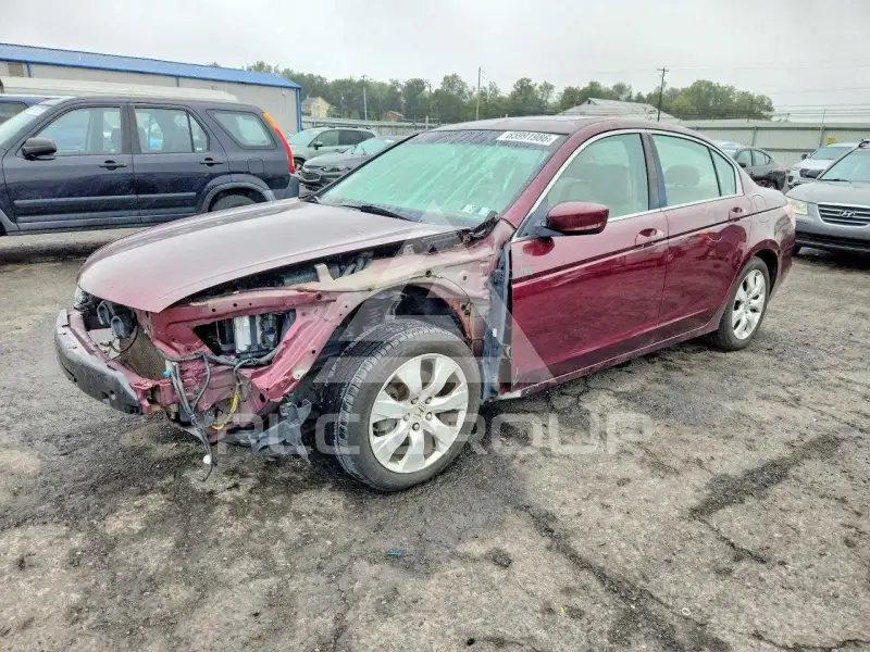 2010 Honda Accord photo